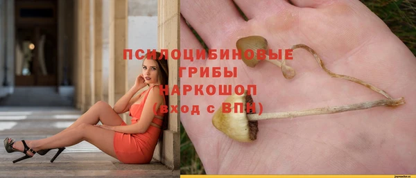 винт Абинск